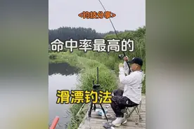 命中率最高的滑漂钓法 一击必中#千谷川山谷 #滑漂钓法 #钓技钓法视频封面