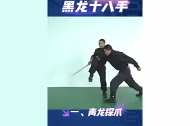 黑龙十八手实战教学。 虽然没有了肩章领花，但是退役17年我依然爱军习武。 黑龙十八手；起式，一、青龙探爪，二、龙女照镜，三、怪蟒翻身，四、腋下偷桃，五、踹膝锁喉，六、二龙戏珠，七、玉龙盘腿，八、劫肘扣带，九、黑龙摆爪，十、乌龙摆尾，十一、金银双勾，十二、瞒天过海，十三、金鸡独立，十四、龙盘玉柱，十五、毒龙出洞，十六、野马奋蹄，十七、单掌推碑，十八、骑龙入水。#黑龙十八手； #黑龙十八手教学 #黑龙十八手分解动作 #黑龙十八手实战 #黑龙十八手实战教学视频封面