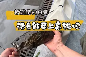 活鱼到底能不能带上高铁？别看广告看疗效！
#路亚 #鳜鱼 #斑鳜 #带鱼上高铁 #活鱼能上高铁吗