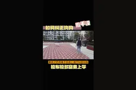 狗狗撒手没叫不回怎么办？一分钟教会你如何纠正训练，还不快去试试#训犬 #训犬教程 #拉布拉多 视频封面