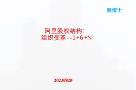 阿里股权结构：组织变革--1+6+N #阿里巴巴 #变革 #分拆上市视频封面
