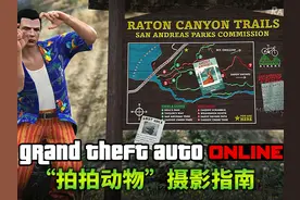 【GTAOL】拍拍动物摄影指南 #单机游戏 #解说 #GTA