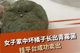 女子家中坏橘子长出青霉菌，挂平台成功卖出视频封面