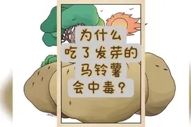 发芽的土豆到底能不能吃？日常我们又该把土豆如何保存呢？ #土豆视频封面