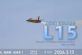 中国飞机名片· L15（猎鹰）飞机 #l15猎鹰高级教练机 #教练机视频封面