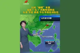 台风“蝴蝶”来袭，海南 广东 广西警惕强降雨 东北 华北 黄淮 华东等地也须防范 #天气预报视频封面