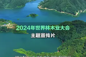 2024年世界林木业大会主题宣传片来了！就在11月22日至24日视频封面