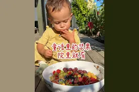 童话里的小果子 挪威夏天的日照很长，气温适宜适合种各种浆果莓果，每年的七八月是我们家水果自由的月份。#北欧生活 #采摘采摘啦 #小院时光 #解压视频 @薇子家的小海螺