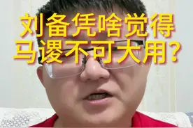 说刘备凭啥觉得马谡不可大用？这就说明很多人根本就不知道自己为啥不受重用，那必须能看出来啊，要说看人，那谁比刘备强啊 ~视频封面