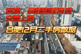 合肥12月二手房成交数据分析 滨湖、高新和瑶海成交量上涨视频封面