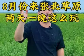 8月份来张北草原两天一晚这么玩？抓紧收藏 #张北草原 #张北草原自驾游攻略 #张北草原天路 #张北草原天路自驾游