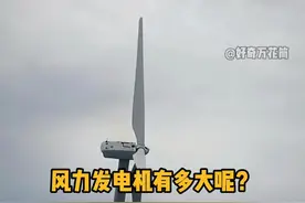 风力发电机有多大呢？ #科普   #解压  #大型机械  #风力发电#冷知识视频封面