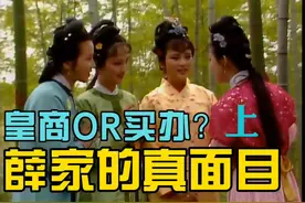 宝钗做了什么惹怒平儿，平儿为什么要手撕薛家皇商的画皮！上