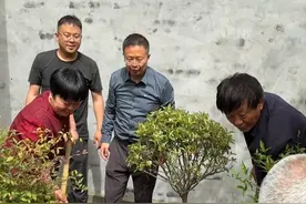 欢迎神十九回家！4月30日，山东籍航天员宋令东凯旋，老家院子里的太空牡丹盛放。妈妈：“儿子，什么时候你回老家看一看，父老乡亲都很支持你。”#牡丹 #航天员 #中国航天视频封面