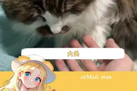 猫猫：不要小瞧我们之间的羁绊啊 #猫猫 #世界上不能没有小猫咪 #羁绊 #小猫 #缘分视频封面