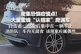 密集恐惧症慎点！大量蜜蜂“认错家”爬满车 目击者：盘旋后集中在一辆车上 消防队：车内无甜食 该现象应属偶然