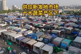 一条视频告诉你供应新发地市场的十大蔬菜产区都有哪些视频封面