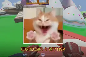 瓦垃圾得了MVP 米垃圾评分是3.0 #CS2 #创意工坊 #瓦垃圾