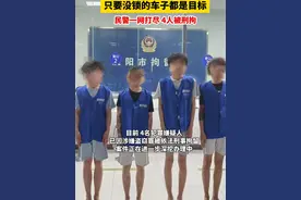 襄城警方闪电破案！四名拉车门惯偷被一网打尽 @襄城警事