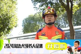 全网征集领养人！ #搜救犬 #萌 #消防视频封面