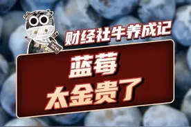 蓝莓，太“金贵”了 蓝莓背后的产业密码
#投资  #农业  #科普  #财经  #掘金计划2025视频封面