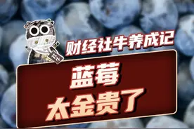 蓝莓，太“金贵”了 蓝莓背后的产业密码
#投资  #农业  #科普  #财经  #掘金计划2025视频封面