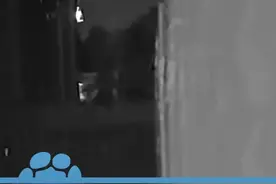 4月2日，江西赣州，4人结伙入室盗窃，一阵翻找收获1.6元被刑拘视频封面