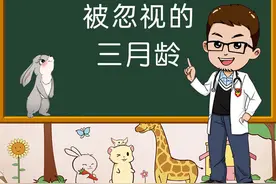 兔子几个月成年？几个月磨牙？几个月发情？#宠物兔子的日常 #宠物兔 #宠物兔子的日常