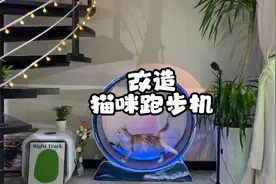 DIY改造猫咪跑步机新玩法，发电、手绘、灯光#宠物 #857 #改造