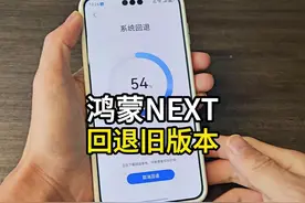 到底是哪些人在用纯血鸿蒙？鸿蒙NEXT如何回退教程 #华为