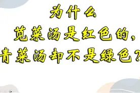 为什么煮苋菜的汤是红色的，煮其他菜的汤却不是绿色的呢？