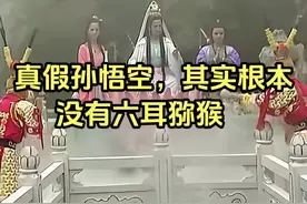 真假孙悟空，其实根本没有六耳猕猴 取经归来的真是孙悟空？视频封面