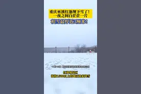 11月13日，重庆，#巫溪红池坝下雪了 一夜之间白茫茫一片，积雪最厚近3厘米！#重庆dou知道视频封面
