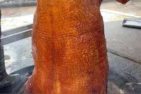 广东湛江烤猪，每天一头260斤，烤好就卖完 #烤大猪 #万物皆可种草搜  #真材实料才能做出好味道