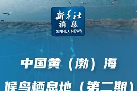 新华社消息｜中国黄（渤）海候鸟栖息地（第二期）扩展列入世界遗产视频封面