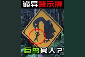 『诡异警示牌』附近有巨鸟食人？日本森林真的存在巨型鸟类吗?视频封面