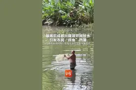 暴雨后成都兴隆湖开闸放水 引发市民“捞鱼”热潮 当地农业农村局：危及人身安全也涉嫌违法