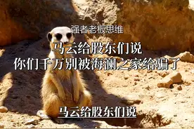 海澜之家不靠卖衣服发财，真正暴利的商业秘密在这里！#商业思维视频封面
