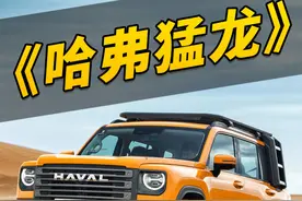 营销差等生交了个优等答卷？哈弗猛龙用口碑说话视频封面