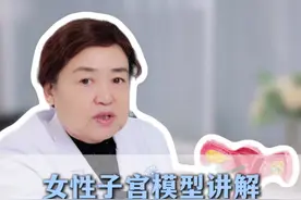 子宫模型讲解：精卵自由恋爱全记录！#精卵结合 #自然怀孕 #输卵管 #子宫内膜 #妇科知识科普