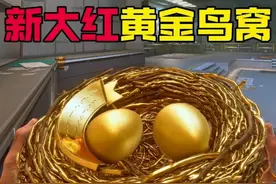 新大红黄金鸟窝，一分钟教会你获得方法！ #三角洲行动