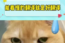 谁说这翻译不行的，这可太棒了！#四六级翻译 #搞笑 #大学生 #万万没想到视频封面