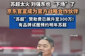 京东官宣成为苏超赞助商视频封面