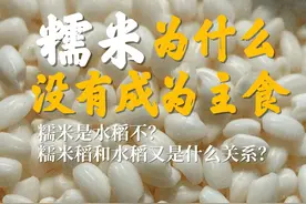 糯米也是米，怎么就没能成为我们的主食呢？ 糯米，也被称为酒米视频封面