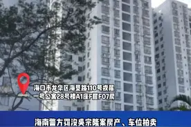 海南吴宗隆涉黑组织罚没财产近日将开拍#严厉打击 #除恶扫黑 #海南dou知道 视频封面