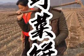 野菜饼 开春第一次户外行动，挖野菜#内容启发搜索 #乡村生活 #农村美食 #野菜 #大山里的味道视频封面