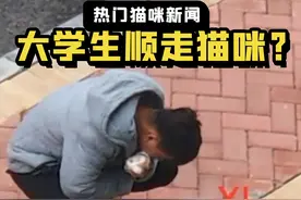 毕业没有礼物，没关系，我会自己拿！ #毕业礼物   #大学生毕业   #大学生遛猫   #学校的流浪猫   #捡猫  #流浪猫  #偷猫 #谁能拒绝傻憨憨的小猫咪视频封面