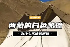西藏的白色帐篷，男人为什么不能随便进，小心进去就出不来了 （2）#西藏 #旅行 #科普 #涨知识视频封面