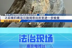 小区居民捡到灰鸟 原是“三有”保护动物 #小区 #居民 #保护 #动物