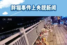 胖猫事件上央视新闻，被批浪费90多吨粮食#胖猫事件 #反转 #娱乐评论大赏 #万万没想到视频封面